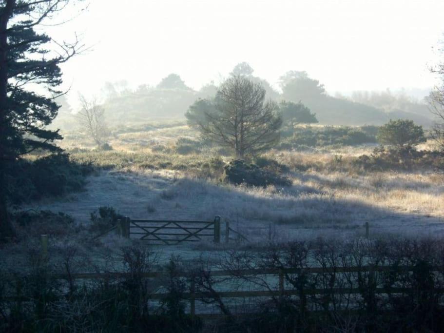 Home In Dorset, Near Jurassic Coast And Arne ويرهام المظهر الخارجي الصورة