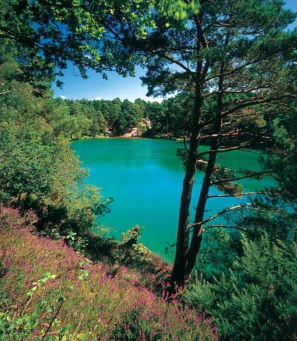 Home In Dorset, Near Jurassic Coast And Arne ويرهام المظهر الخارجي الصورة